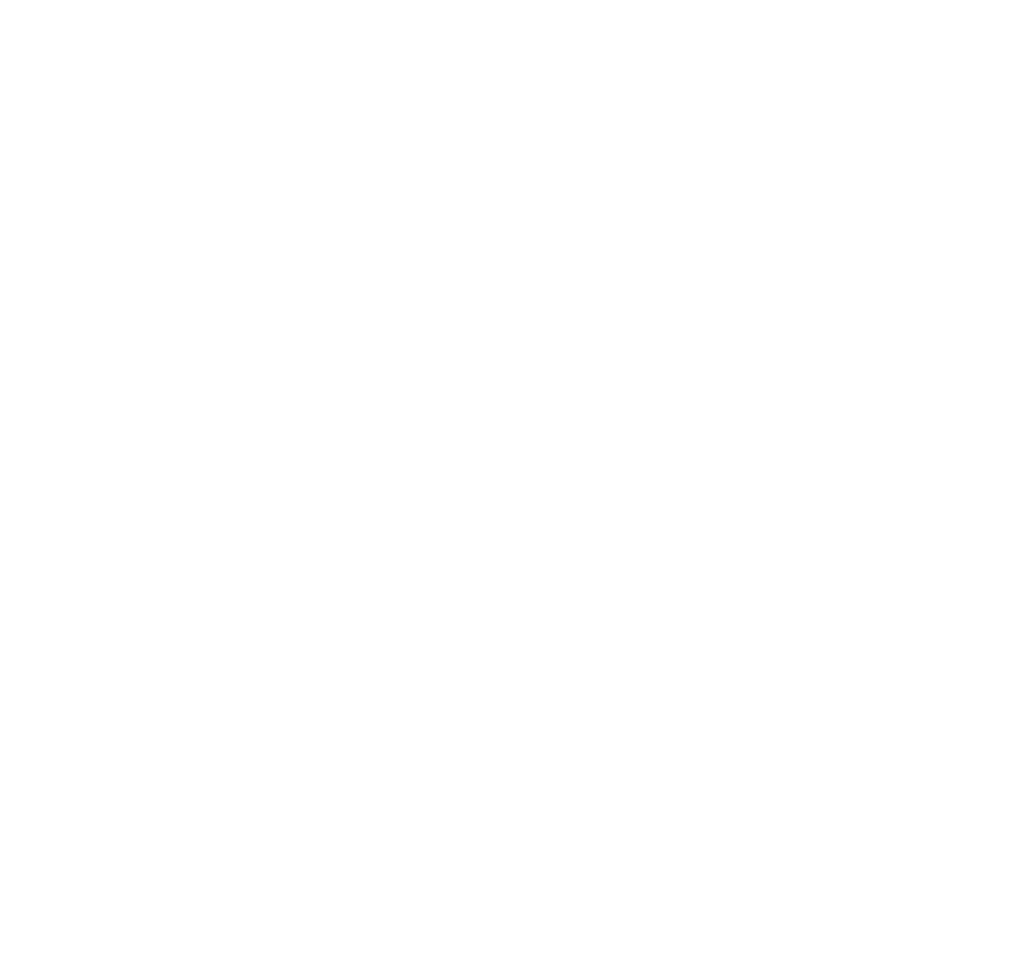 Piratas Inc